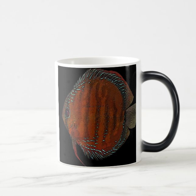 Cuipeua discus color morph mug  (Right)