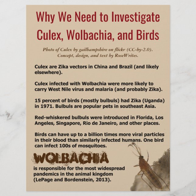 Culex, Wolbachia, and Birds by RoseWrites Flyer (Front)
