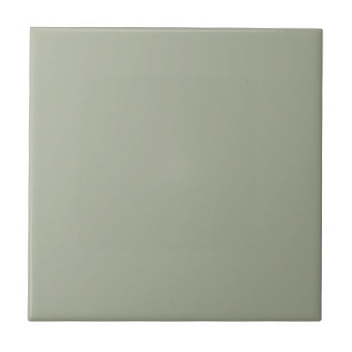 Culinary Clary Sage Square Kitchen and Bathroom Ceramic Tile