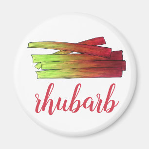 Culinary Rhubarb Stalks Vegetable Garden Food Veg Magnet