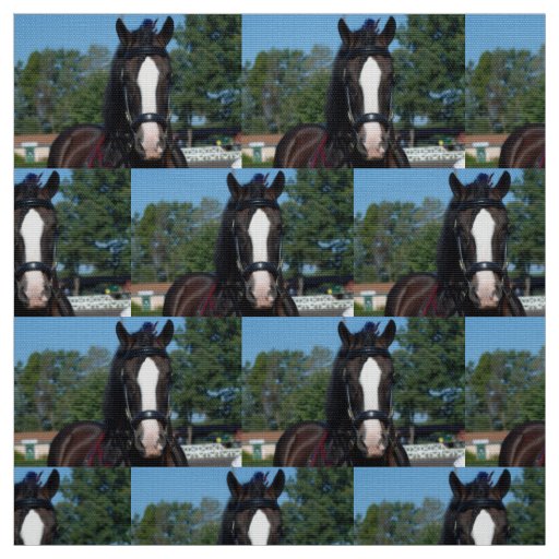 culpeper va draft horse show fabric