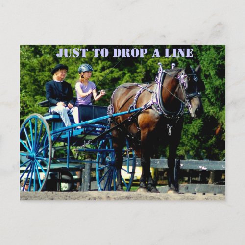 culpeper va draft horse show postcard