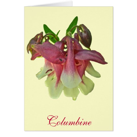 Cultivated Columbine Note Card