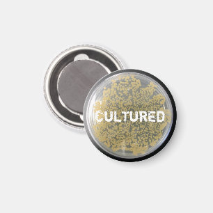"Cultured" Bacteria Culture Plate Magnet