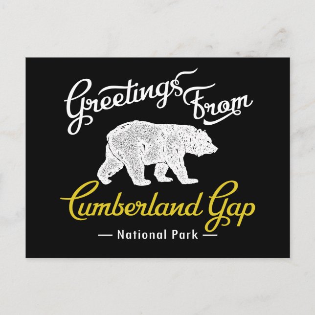 Cumberland Gap National Park Bear Postcard (Front)