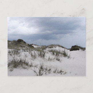 Cumberland Island dunes Postcard