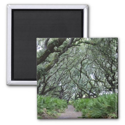 Cumberland Island Magnet