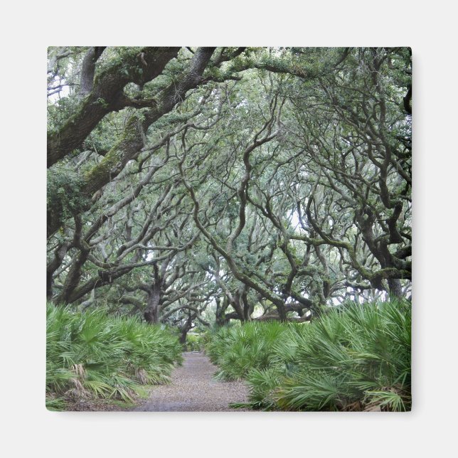 Cumberland Island Magnet (Front)