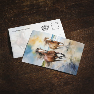 Cumberland Island National Park Horses Postcard