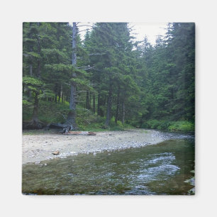 Cummins Creek at Neptune State Park, OR Magnet