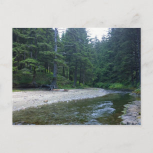 Cummins Creek at Neptune State Park, OR Postcard
