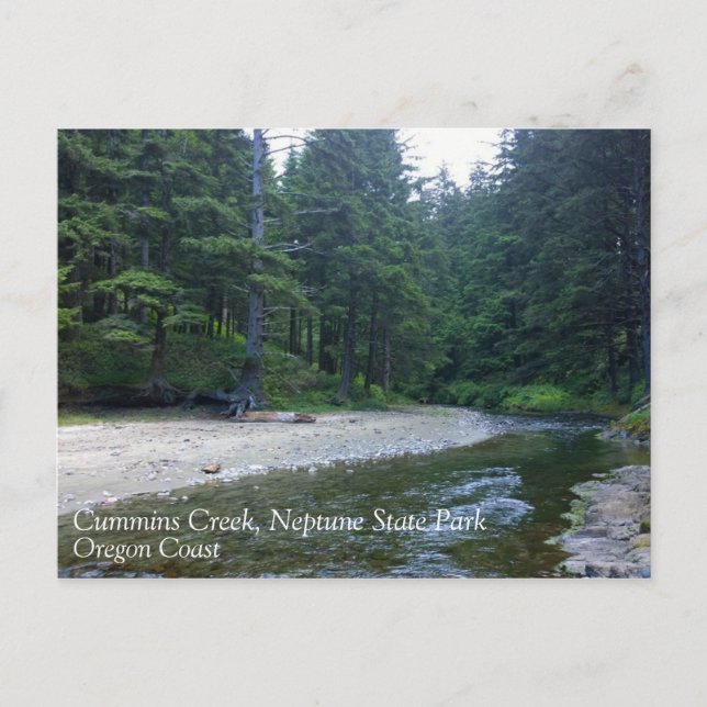 Cummins Creek at Neptune State Park, OR Postcard (Front)