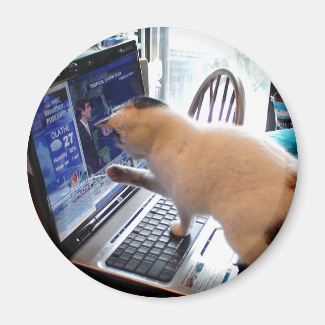 Cumputer Cat Magnet (Front)