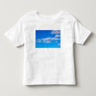 cumulus clouds over the western Antarctic Toddler T-shirt