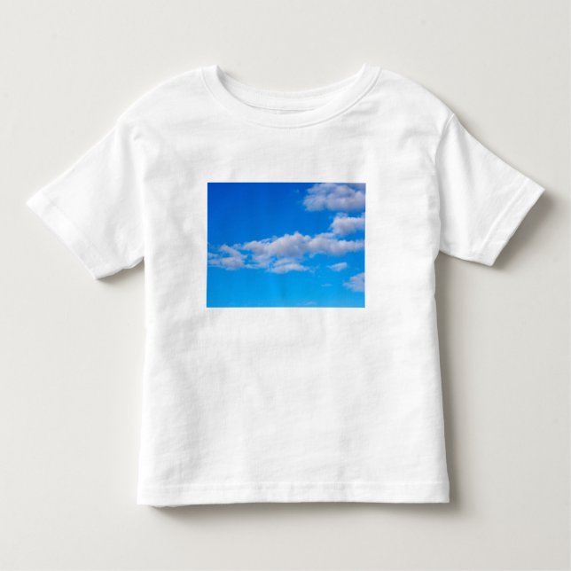 cumulus clouds over the western Antarctic Toddler T-shirt (Front)