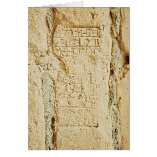 Cuneiform script on a palace wall cards (Front)
