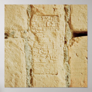 Cuneiform script on a palace wall poster