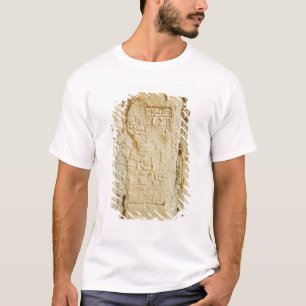 Cuneiform script on a palace wall T-Shirt