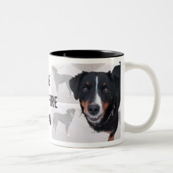 Cup "appenzeller Sennenhund" by mein_irish_terrier at Zazzle