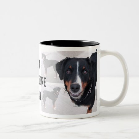 Cup "appenzeller Sennenhund"
