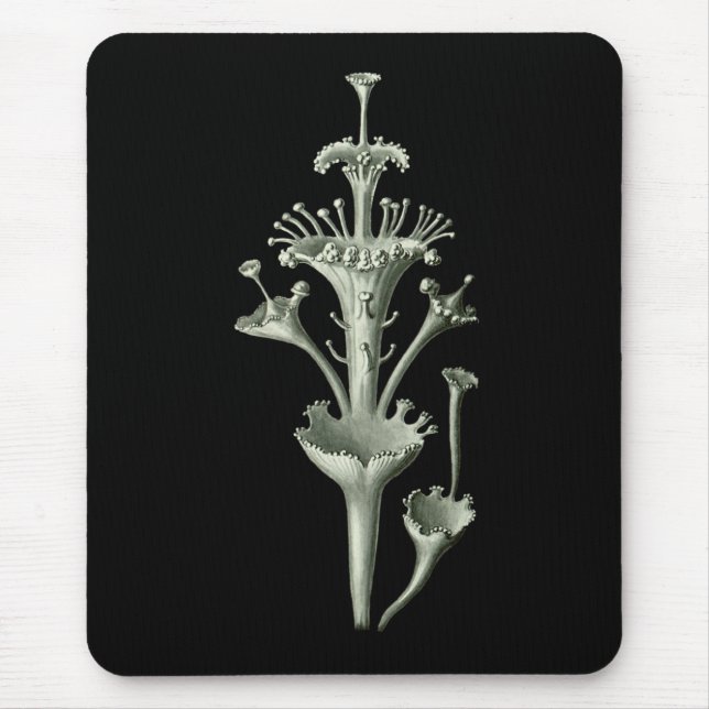 Cup Lichen Mouse Pad (Front)