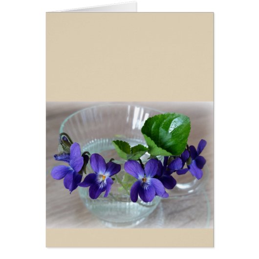 cup of violets cards (Front)