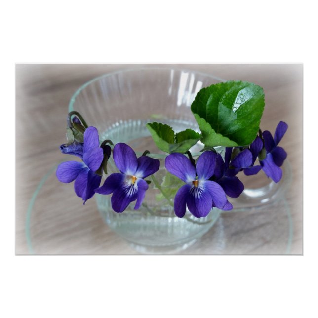 cup of violets poster (Front)