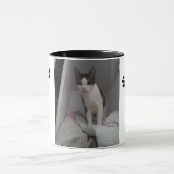 Cup Pretty Cat by queregalo at Zazzle