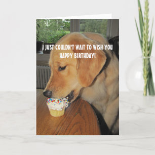 Cupcake Birthday Letterpress Thank You Card
