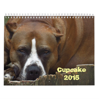 Cupcake Calendar