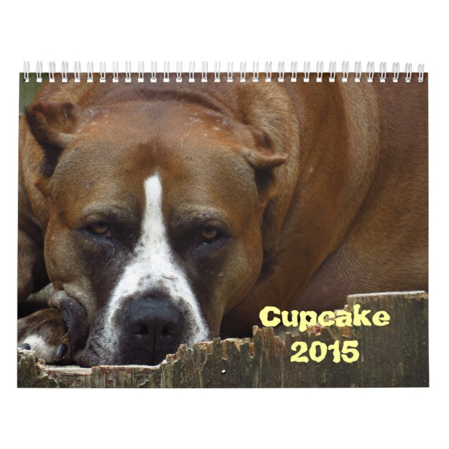 Cupcake Calendar (Cover)
