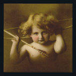 Cupid Awake Lithograph Faux Canvas Print<br><div class="desc">In classical mythology, Cupid (Latin Cupīdō [kʊˈpiːdoː], meaning "desire") is the god of desire, love, attraction and affection.He is often portrayed as the son of the love goddess Venus and the war god Mars. An 1897 “Cupid Awake” framed black-and-white photograph by M.B. Parkinson, has since been colorized. It depicts little...</div>