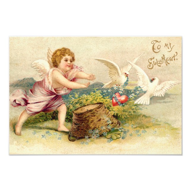 Cupid Cherub Angel Dove Heart Photo Print (Front)
