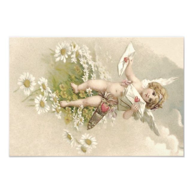 Cupid Cherub Angel Valentine Daisy Photo Print (Front)