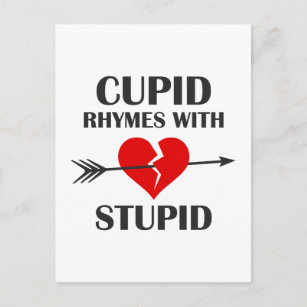 Cupid Rhymes With Stupid Valentines Day Holiday Postcard