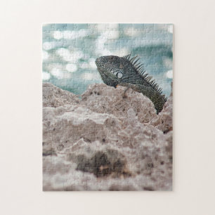 Curacao - Green Iguana - Animal Jigsaw Puzzle