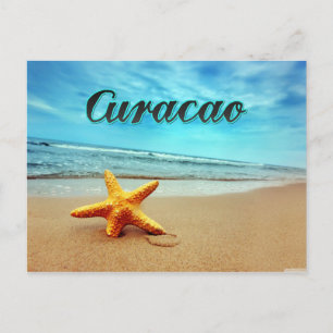 Curacao starfish postcard