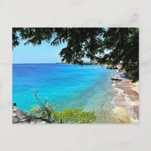 Curaçao Vacation Postcard