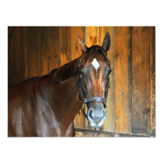 Curalina Photo Print