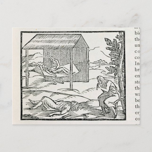 Curing the Sick, Natives of Hispaniola Postcard (Front)