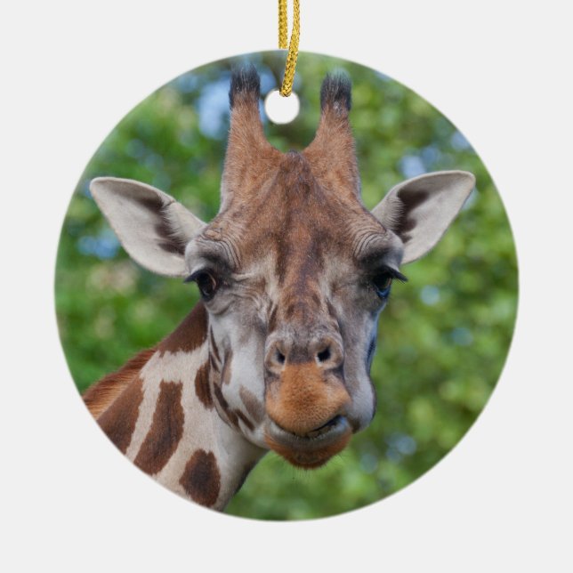 Curios Giraffe Ceramic Ornament (Front)