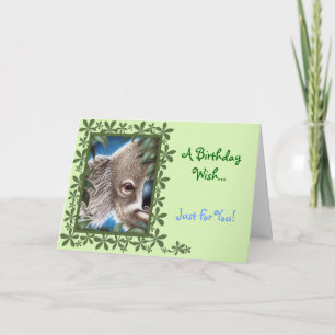 Curios Koala Birthday Card