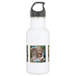 Curios Koala Liberty Bottle at Zazzle