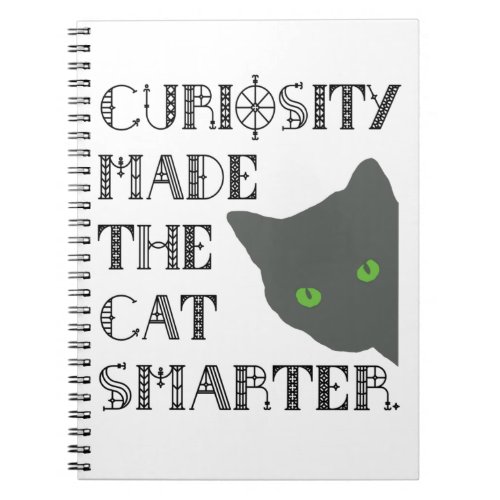Curiosity and the Cat Notebook