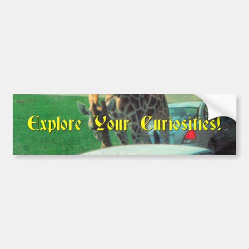 Curiosity Bumper Sticker