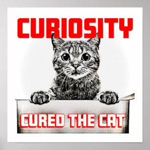 Curiosity Cured the Cat Poster