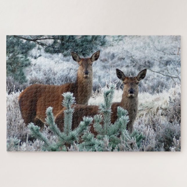 curiosity deer puzzle (Horizontal)
