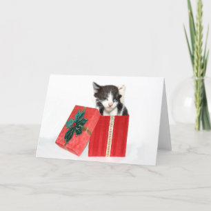 Curiosity got the Christmas kitten Holiday Card