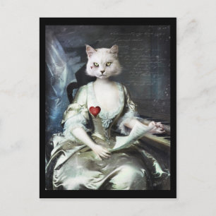 "Curiosity" I Postcard