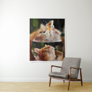 Curiosity in a Fishbowl – The Cat’s Dream Tapestry